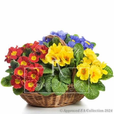 Basket of Colours