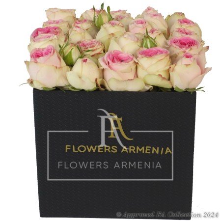 Elegant Gift