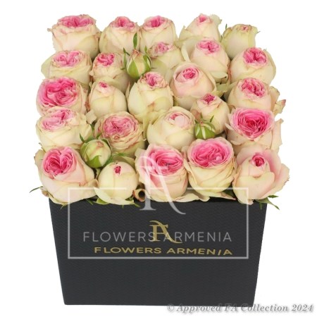 Elegant Gift