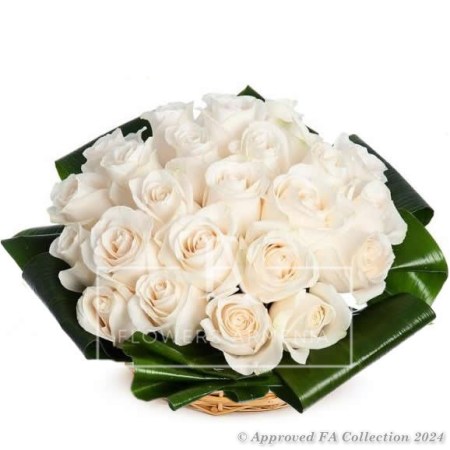 Pure Beauty of Roses