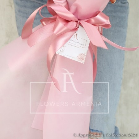 Pink Beauty