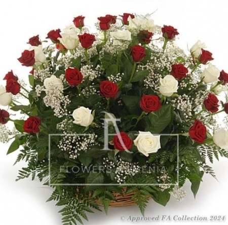 Basket of 90 Red & White Roses