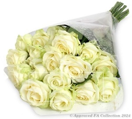 White Regal Roses