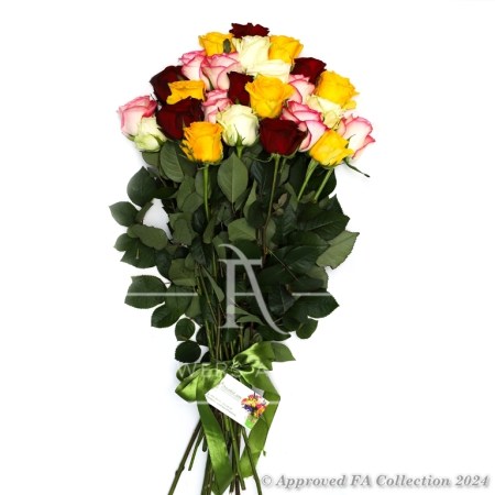 Bouquet of 25 Colorful Roses