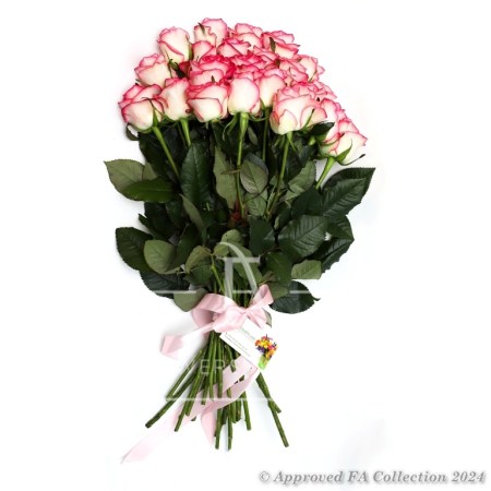 Bouquet of 25 Pink Roses