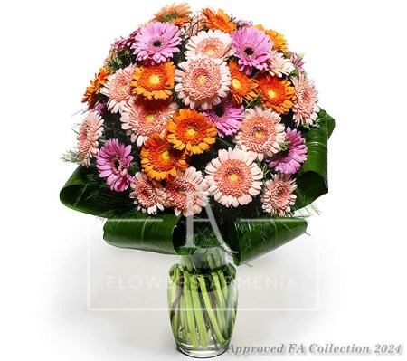 Bouquet of 37 Gerberas