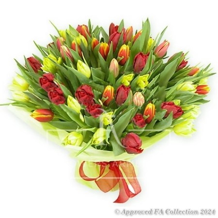 Bouquet of 77 Colorful Tulips