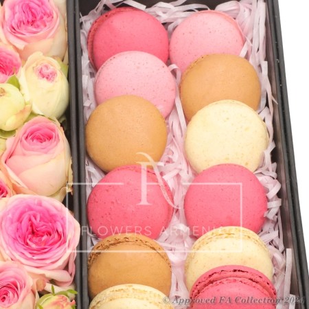 Special Gift Box