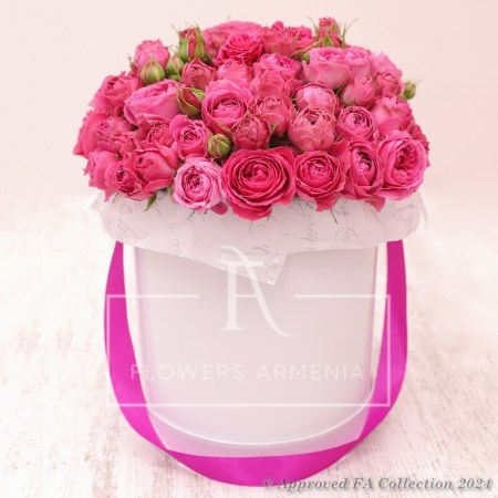 Perfect Pink Roses