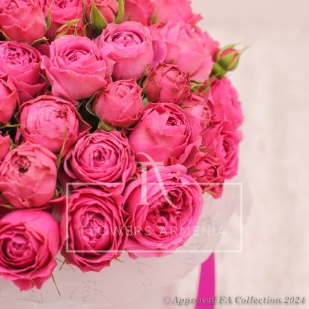 Perfect Pink Roses