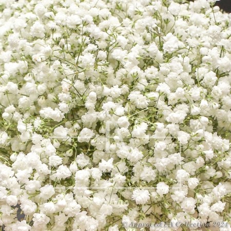 Lovely Bridal Bouquet