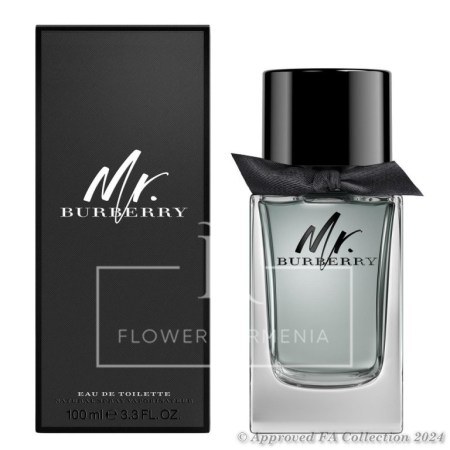 Burberry Mr Burberry