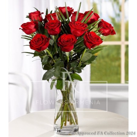 Adorable Red Roses