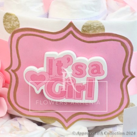 Gift Idea for New Born Baby