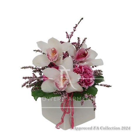 The Magic of Orchids