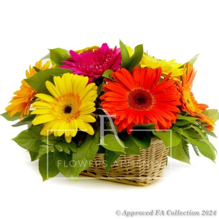 Have a Sunny Day