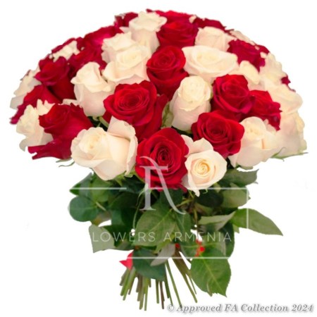 Red & White Roses