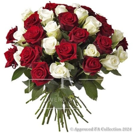 Fantasy of Red & White colors