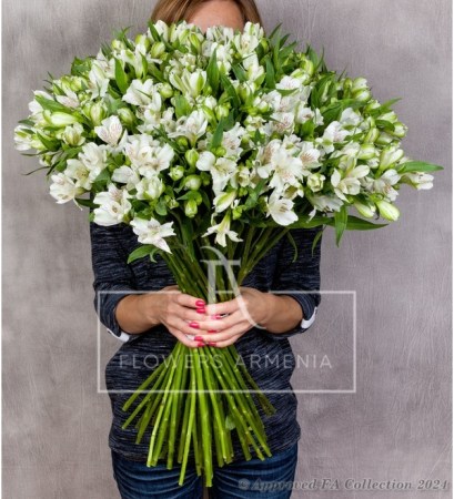 White Alstroemerias