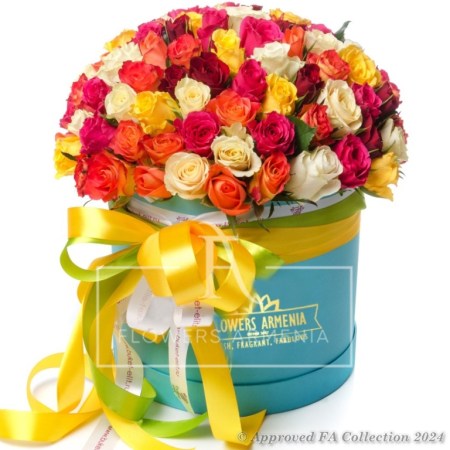 Bright Color Combination