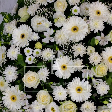 Gentle Remembrance