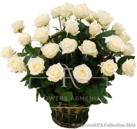 Basket of White Roses