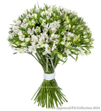 White Alstroemerias