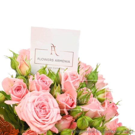 Pink Roses and Champagne