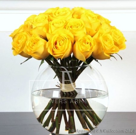 Classic Yellow Roses