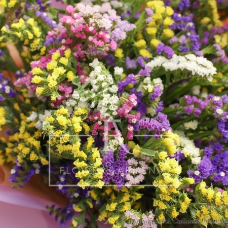 Exceptional Floral Festival