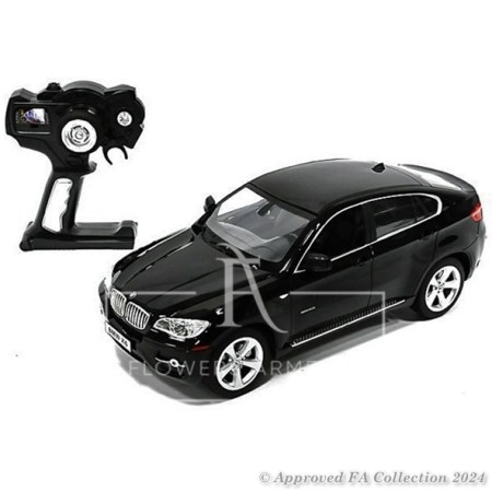 Black BMW X6