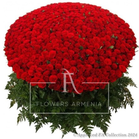 The Red Beauty For YOU!