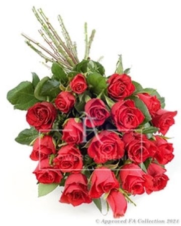 25 Stunning Roses