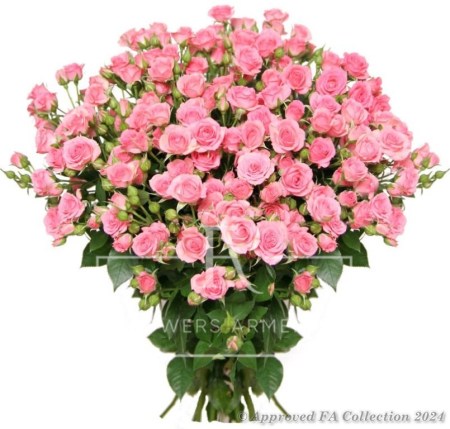 Pink Enchantement