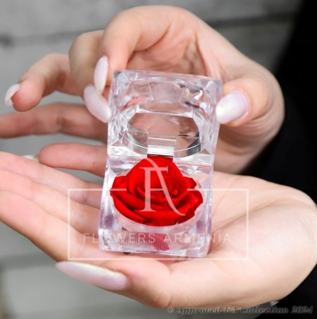 The Single Eternal Red Rose
