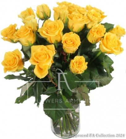 Stunning Yellow Roses