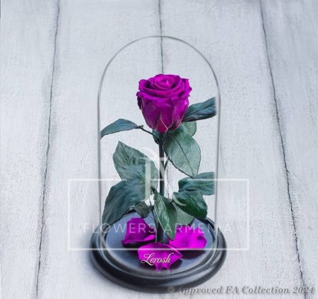 Eternal Pink Rose