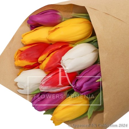 Colorful Tulips