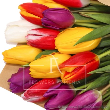 Bouquet of 15 Colourful Tulips