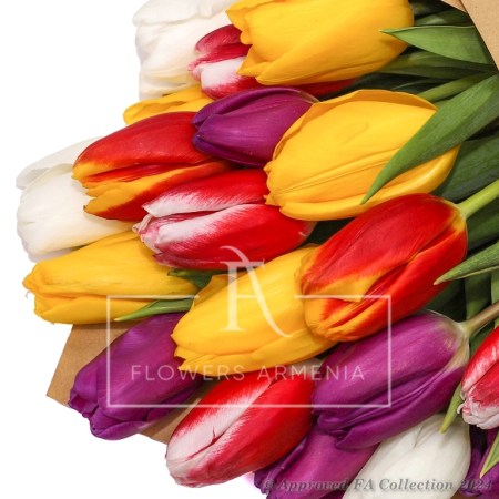 19 Blushing Tulips