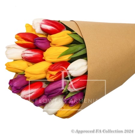 Colorful Explosion of 21 Tulips