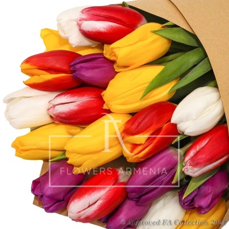 Colorful Explosion of 21 Tulips