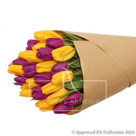 25 Tulips