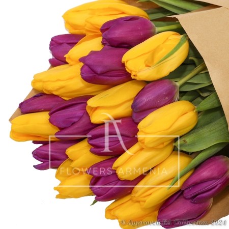 25 Tulips