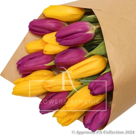 Bouquet of 15 Tulips