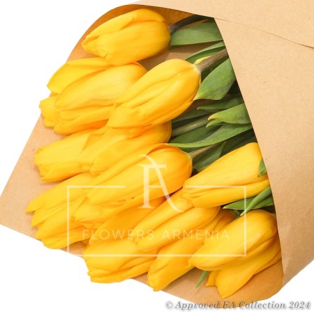 15 Yellow Tulips