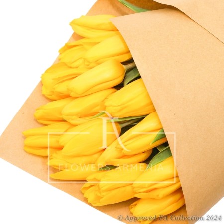 Gorgeous Yellow Tulips