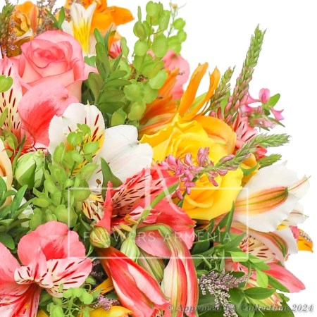 Colorful Basket