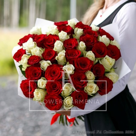 Red & White Combination