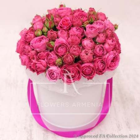 Perfect Pink Roses